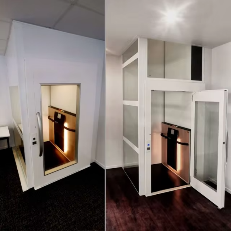 VTEV108 Ascensores Thang máy biệt thự an toàn và đáng tin cậy để lắp đặt cho ngôi nhà gia đình