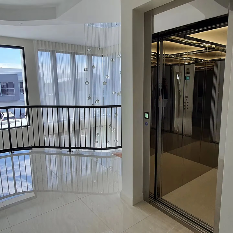 VTEP111Ascensor thang máy chở khách có thể tùy chỉnh với các tính năng an toàn nâng cao