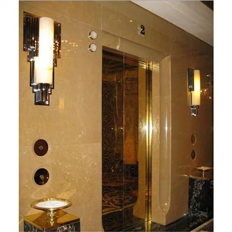 VTEV102 Ascensores Thang máy biệt thự tiết kiệm năng lượng để trang trí nhà ở