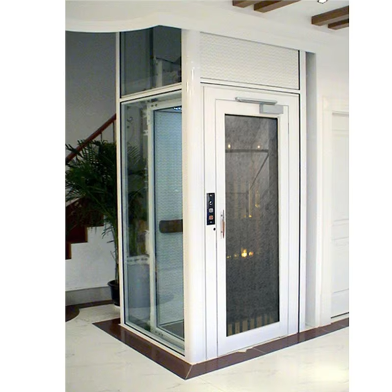 VTEV101 Ascensores Thang máy Biệt thự Thiết kế đẹp Thang máy cho phong cách trang trí hiện đại