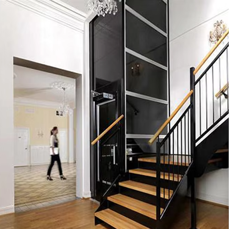 VTEV104 Ascensores Thang máy biệt thự bằng thép không gỉ sang trọng dành cho gia đình
