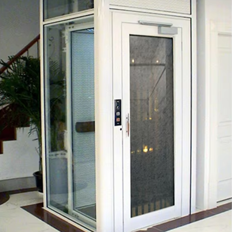 VTEV105 Ascensores Thang máy Thang máy biệt thự cabin tùy chỉnh để trang trí nội thất