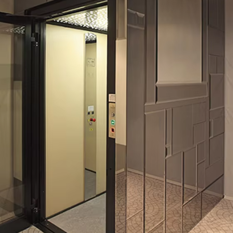 VTEV105 Ascensores Thang máy Thang máy biệt thự cabin tùy chỉnh để trang trí nội thất