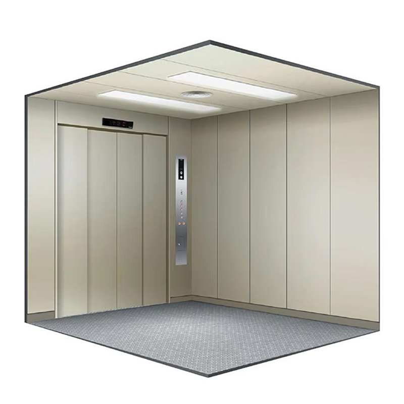VTEF102 kiểm duyệt thang máy chở hàng hiệu suất cao cho hậu cần và lưu trữ