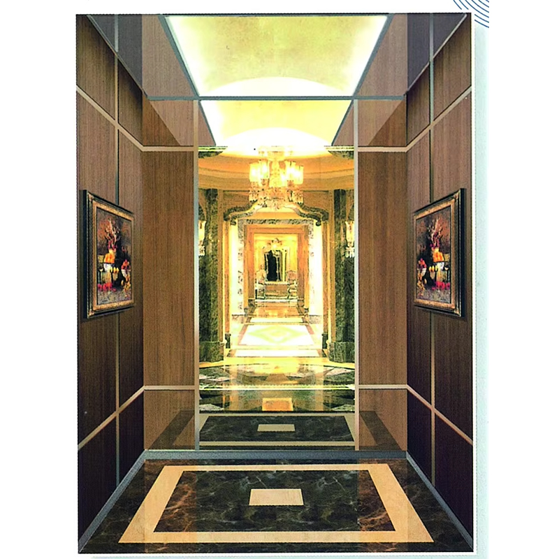 Bộ phận thang máy VTSP132 Thiết kế hiện đại Cabin thang máy bằng thép không gỉ Kích thước tùy chỉnh cho các dự án dân cư & thương mại