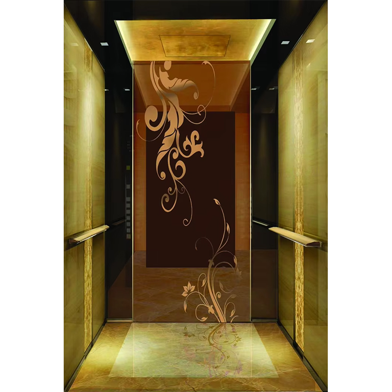 Cabin thang máy khách sạn sang trọng VTSP133 với thép không gỉ cao cấp Thiết kế hiện đại Màu sắc tùy chỉnh Bảo hành 1 năm