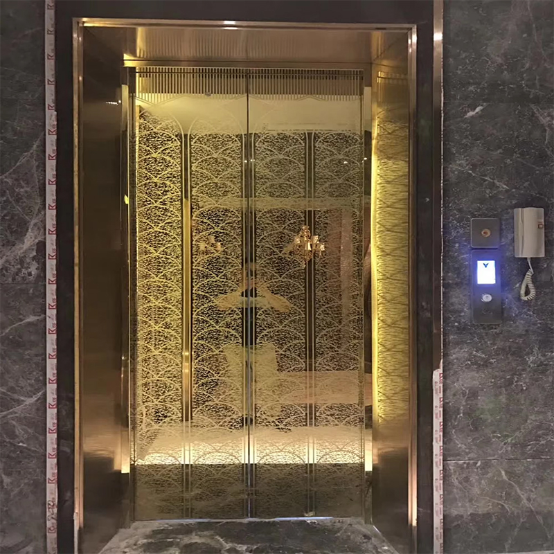 Bộ phận & phụ kiện thang máy VTSP136 Cabin nâng hành khách có đèn LED và trang trí cao cấp