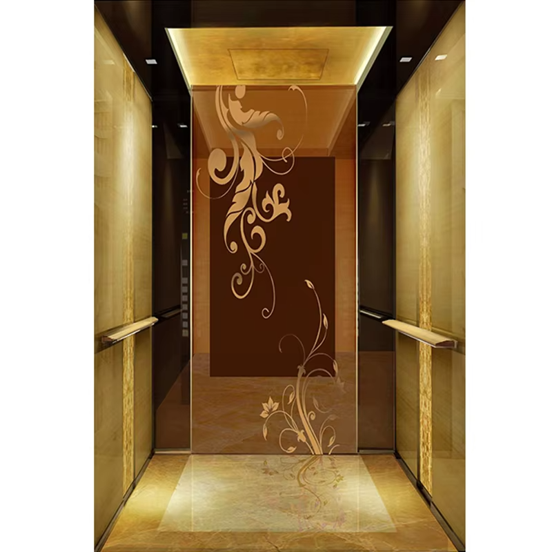 Bộ phận & phụ kiện thang máy VTSP128 Cabin thang máy quan sát cao cấp với vách kính hoàn toàn